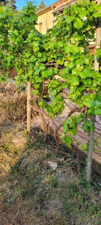 فندق La Boissiere, Le Domaine De Brugal Carsac-Aillac المظهر الخارجي الصورة